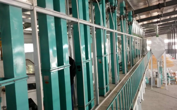 玉米加工設(shè)備